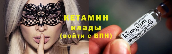 крисы Алексин