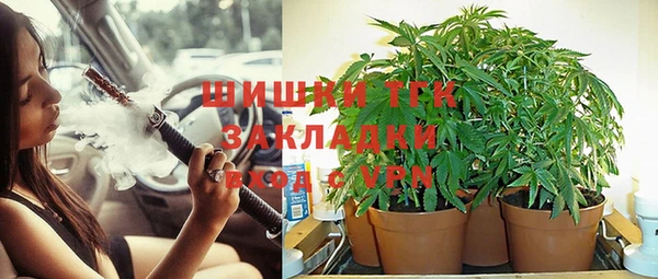 мяу мяу мука Алзамай