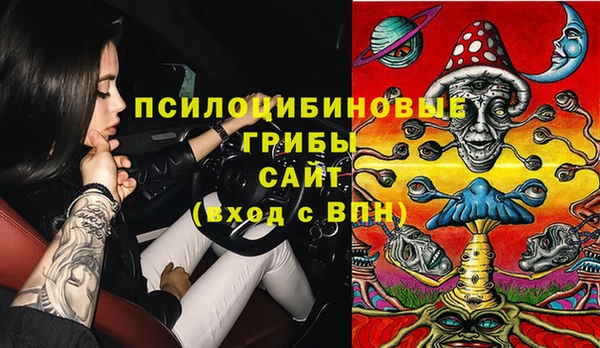 мяу мяу мука Алзамай