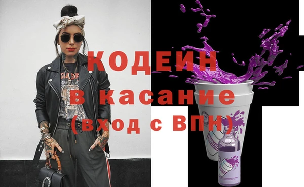 крисы Алексин