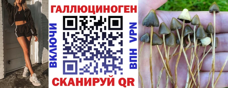 Галлюциногенные грибы мицелий  где можно купить наркотик  Березники 